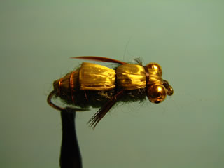 Olive Whitlocks Dragonfly (8)